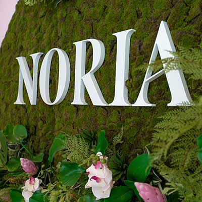 Appartements Noria - Montreal - OPUS DESIGN